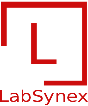 LabSynex Logo